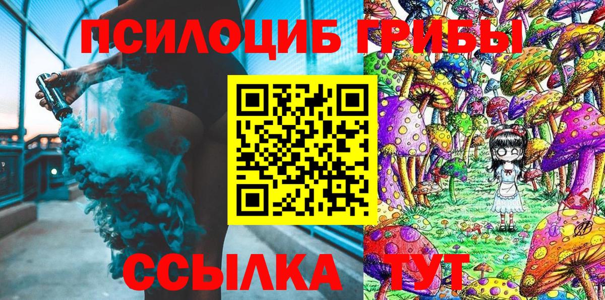Озёрск  Псилоцибиновые грибы Cubensis  Галлюциногенные грибы Psilocybe  Вход с VPN 