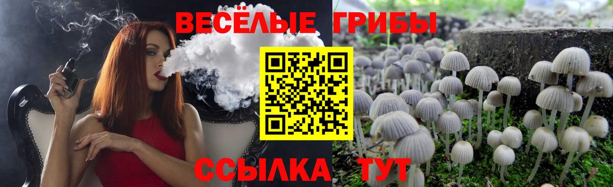 Псилоцибиновые грибы MAGIC MUSHROOMS Озёрск